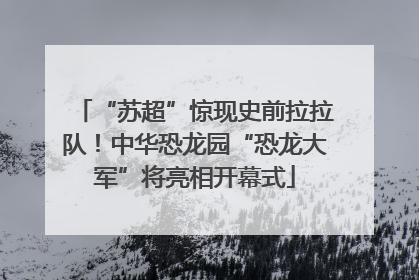 “苏超”惊现史前拉拉队！中华恐龙园“恐龙大军”将亮相开幕式