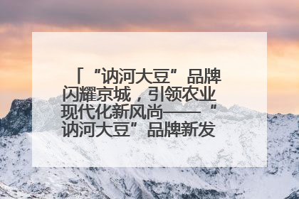 “讷河大豆”品牌闪耀京城，引领农业现代化新风尚——“讷河大豆”品牌新发地推介会圆满落幕