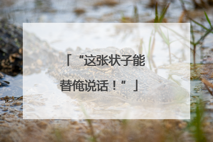 “这张状子能替俺说话！”