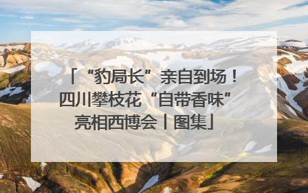 “豹局长”亲自到场！四川攀枝花“自带香味”亮相西博会丨图集
