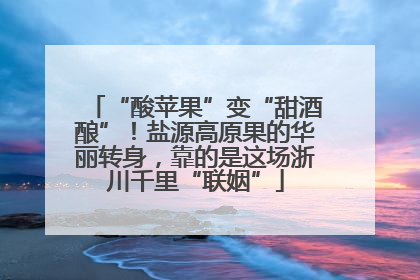 “酸苹果”变“甜酒酿”！盐源高原果的华丽转身，靠的是这场浙川千里“联姻”