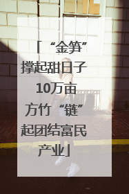 “金笋”撑起甜日子 10万亩方竹“链”起团结富民产业