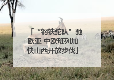 “钢铁驼队”驰欧亚 中欧班列加快山西开放步伐