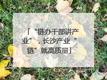 “链办干部讲产业”，长沙产业“链”就高质量