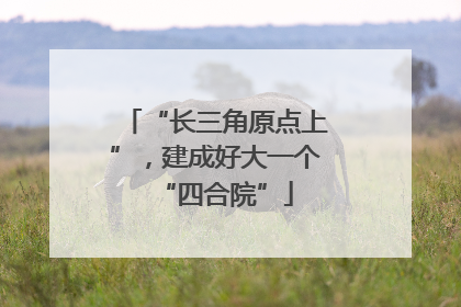 “长三角原点上”，建成好大一个“四合院”