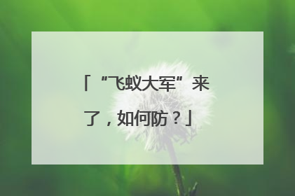 “飞蚁大军”来了，如何防？
