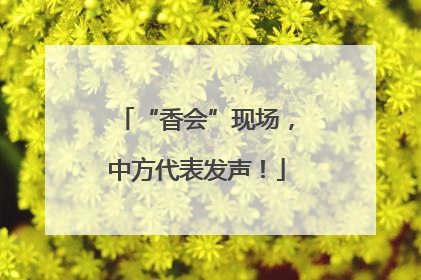 “香会”现场，中方代表发声！