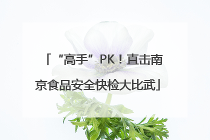 “高手”PK！直击南京食品安全快检大比武
