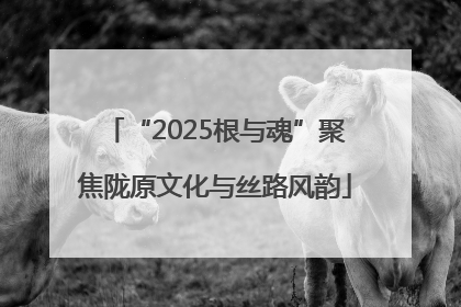 “2025根与魂”聚焦陇原文化与丝路风韵