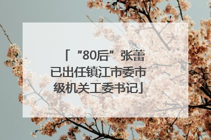 “80后”张蕾已出任镇江市委市级机关工委书记