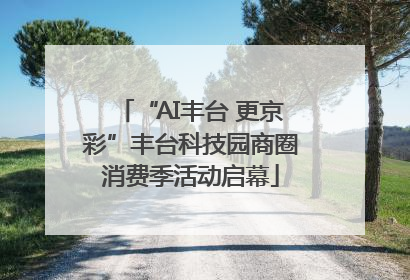 “AI丰台 更京彩”丰台科技园商圈消费季活动启幕