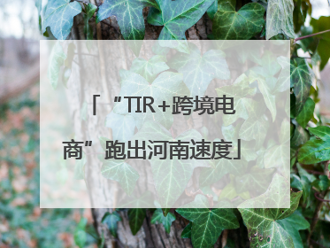 “TIR+跨境电商”跑出河南速度
