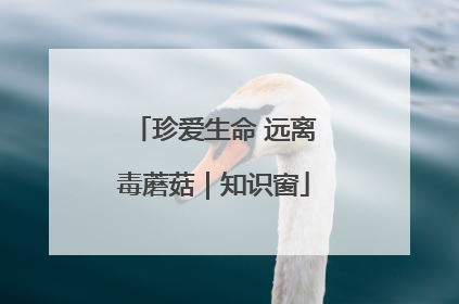 珍爱生命 远离毒蘑菇｜知识窗