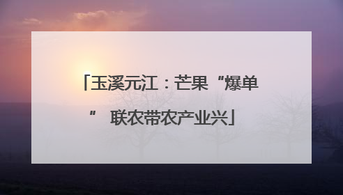 玉溪元江：芒果“爆单” 联农带农产业兴
