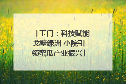 玉门：科技赋能戈壁绿洲 小院引领蜜瓜产业振兴