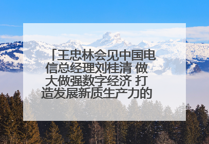 王忠林会见中国电信总经理刘桂清 做大做强数字经济 打造发展新质生产力的强劲引擎