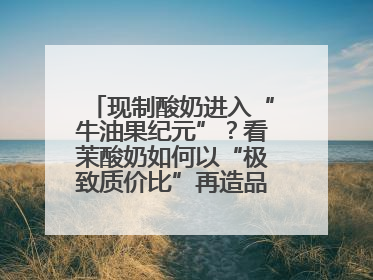 现制酸奶进入“牛油果纪元”？看茉酸奶如何以“极致质价比”再造品类天花板
