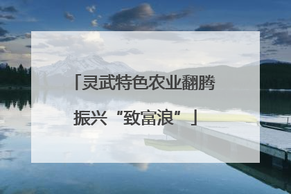 灵武特色农业翻腾振兴“致富浪”