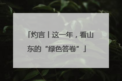 灼言丨这一年，看山东的“绿色答卷”