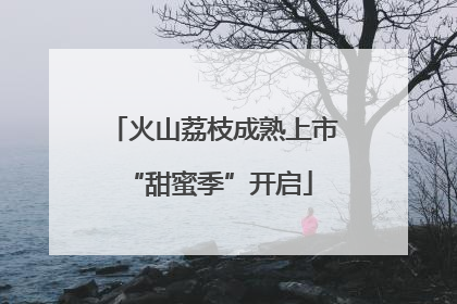 火山荔枝成熟上市 “甜蜜季”开启