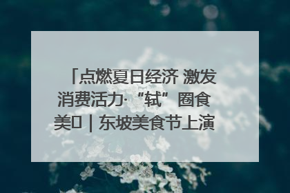 点燃夏日经济 激发消费活力·“轼”圈食美⑪｜东坡美食节上演“文化满汉全席”
