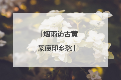 烟雨访古黄 篆痕印乡愁