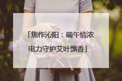 焦作沁阳：端午情浓 电力守护艾叶飘香