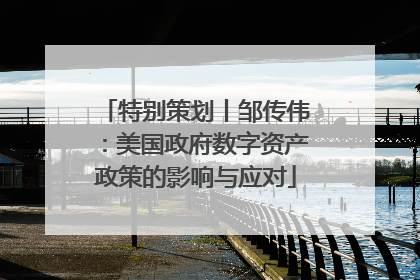 特别策划丨邹传伟：美国政府数字资产政策的影响与应对