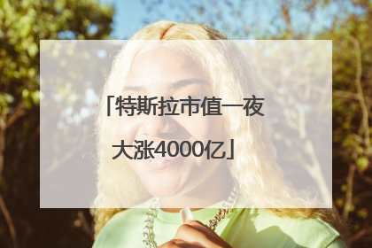特斯拉市值一夜大涨4000亿