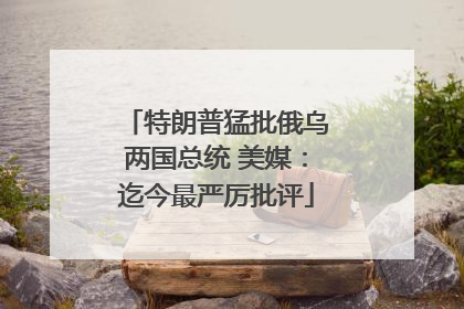 特朗普猛批俄乌两国总统 美媒：迄今最严厉批评