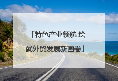 特色产业领航 绘就外贸发展新画卷
