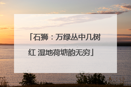 石狮：万绿丛中几树红 湿地荷塘韵无穷