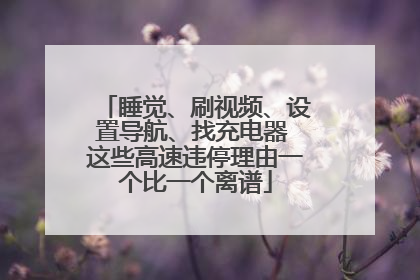 睡觉、刷视频、设置导航、找充电器 这些高速违停理由一个比一个离谱