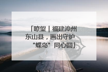 瞭望｜福建漳州东山县，画出守护“蝶岛”同心圆