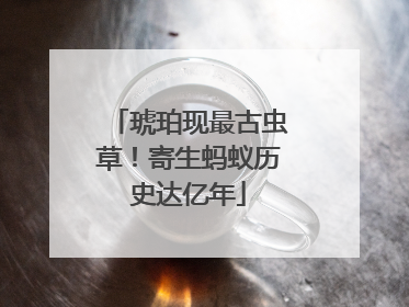 琥珀现最古虫草！寄生蚂蚁历史达亿年