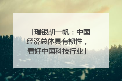 瑞银胡一帆：中国经济总体具有韧性，看好中国科技行业