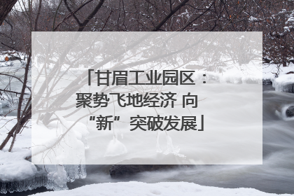 甘眉工业园区：聚势飞地经济 向“新”突破发展