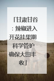 甘肃甘谷：辣椒进入开花挂果期 科学管护确保大田丰收