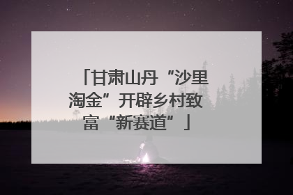 甘肃山丹“沙里淘金”开辟乡村致富“新赛道”