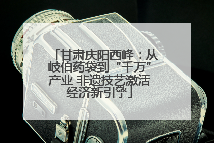 甘肃庆阳西峰：从岐伯药袋到“千万”产业 非遗技艺激活经济新引擎