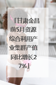 甘肃金昌前5月资源综合利用产业集群产值同比增长27%