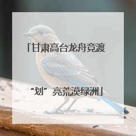 甘肃高台龙舟竞渡“划”亮荒漠绿洲