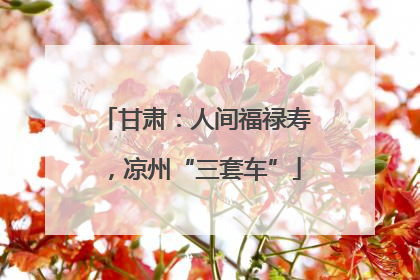 甘肃：人间福禄寿，凉州“三套车”