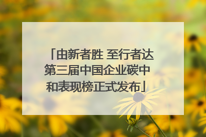由新者胜 至行者达 第三届中国企业碳中和表现榜正式发布