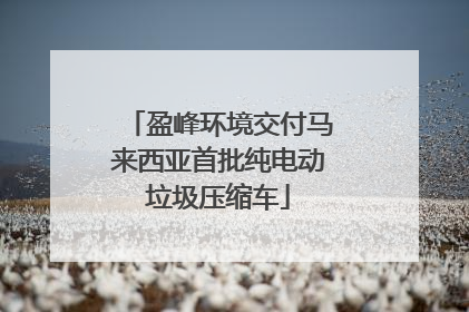 盈峰环境交付马来西亚首批纯电动垃圾压缩车