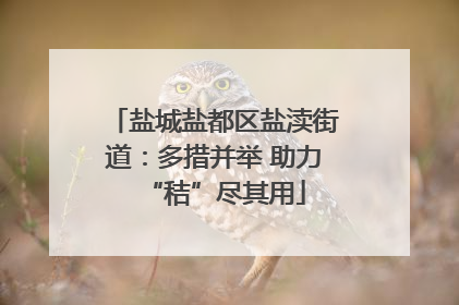 盐城盐都区盐渎街道：多措并举 助力“秸”尽其用