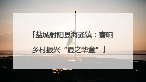 盐城射阳县海通镇：奏响乡村振兴“夏之华章”