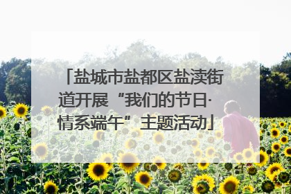 盐城市盐都区盐渎街道开展“我们的节日·情系端午”主题活动
