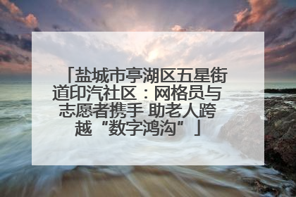 盐城市亭湖区五星街道印汽社区：网格员与志愿者携手 助老人跨越“数字鸿沟”