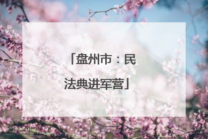 盘州市：民法典进军营